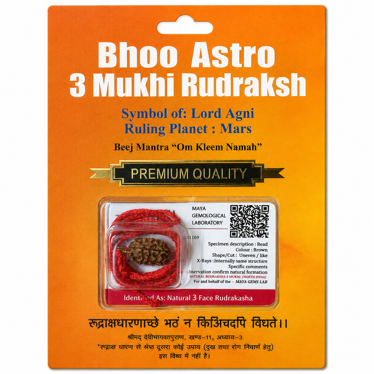 3 Mukhi Rudraksh